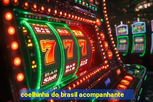 coelhinha do brasil acompanhante